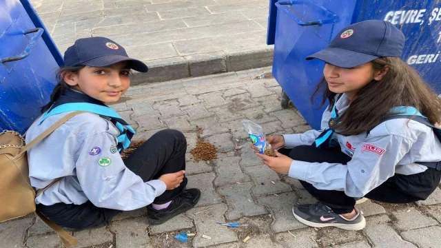 İzci öğrenciler sokak hayvanlarını besledi