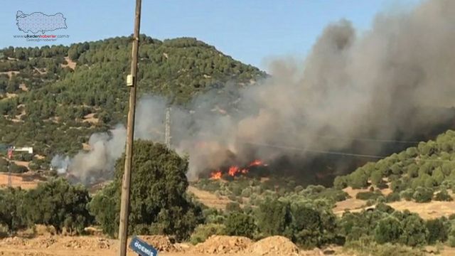 İzmir'in Ödemiş ilçesinde orman yangını çıktı