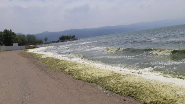 İznik Gölü, alg patlaması nedeniyle yeşile büründü