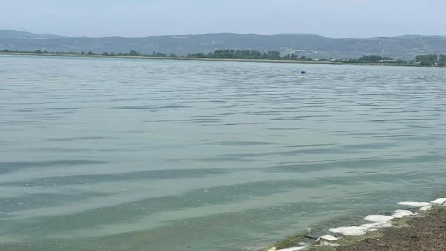 İznik Gölü’ne İstanbul’da inceleme... Prof. Dr. Albay: Türkiye’de en fazla kirletilen alanlardan biri