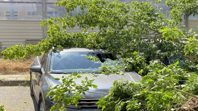 Kadıköy’de ağaç 2 otomobilin üzerine devrildi, bir kişi yaralandı