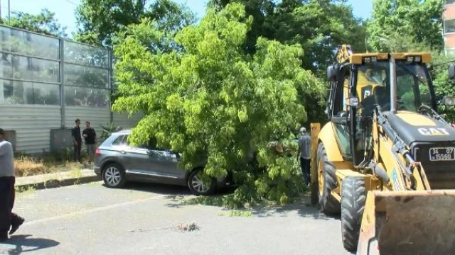 Kadıköy’de ağaç 2 otomobilin üzerine devrildi