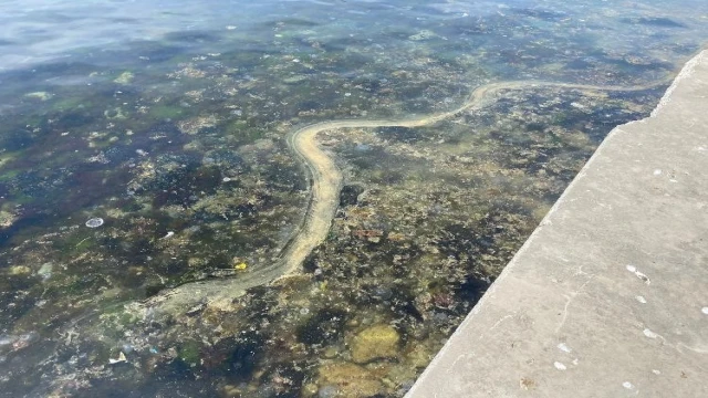 Kadıköy’de müsilajı andıran görüntü