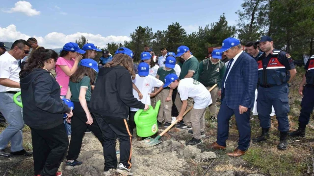 Karabük’te küle dönen orman dikilen fidanlarla yeşillenecek