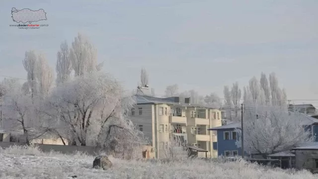 Kars buz kesti, ağaçlar kırağı tuttu