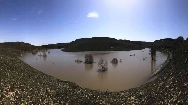 Kars’ta ağaçlar baraj suyu altında kaldı