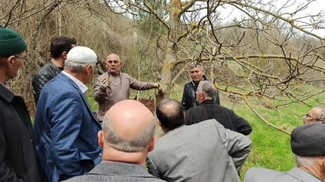 Kastamonu’da üreticilere ’meyve ağaçlarında budama ve aşılama’ eğitimi verildi