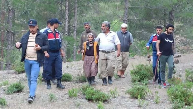 Kayıp olarak aranıyordu, ormanda uyurken bulundu