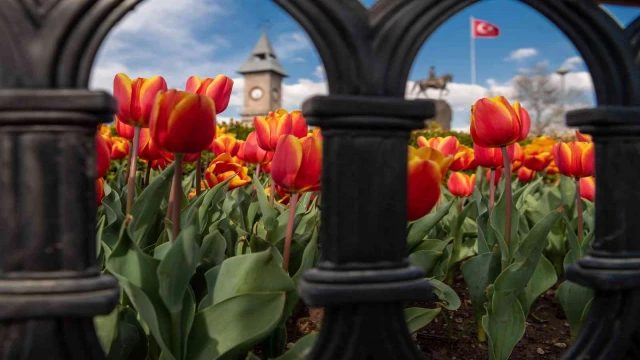 Kayseri’de 1 milyon çiçek toprakla buluşacak