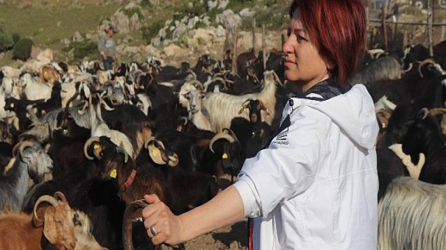 Kırkım Şenliği için tüm hazırlıklar tamam!