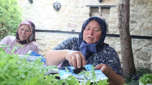 Kırklareli’nde ata tohumdan üretilen fideler dağıtıldı