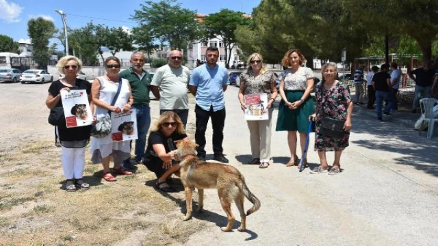 ’Köpek’ tartışmasında Yahya Köşek , Meryem Köşek ve  Funda Güçlü öldürüldüğü sokakta can dostlarını beslediler