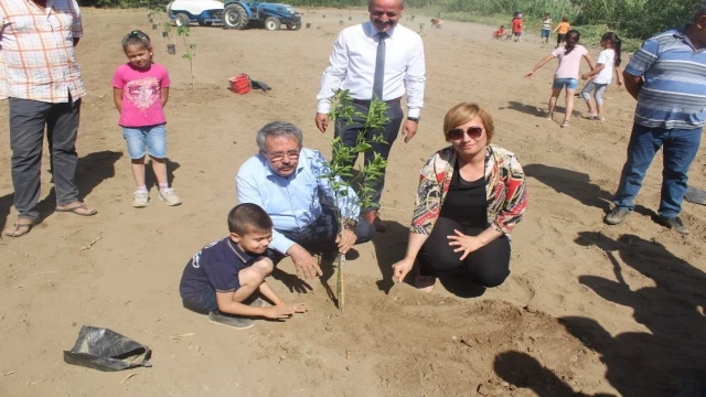 Köyceğiz’de öğrenciler okul bahçesine narenciye fidanı dikti