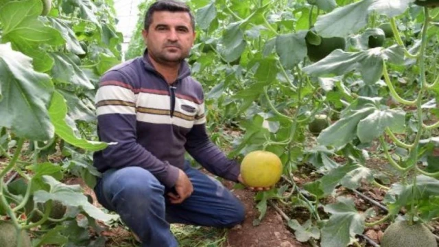 Kumluca’da devrilen traktörün altında kalan sürücü hayatını kaybetti