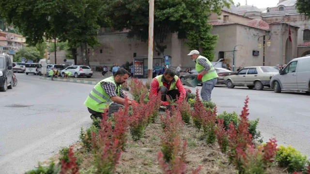 Kütahya’da çiçeksiz refüj kalmayacak