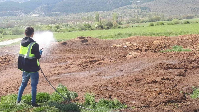 Kütahya’da ilaçlama sezonu başladı