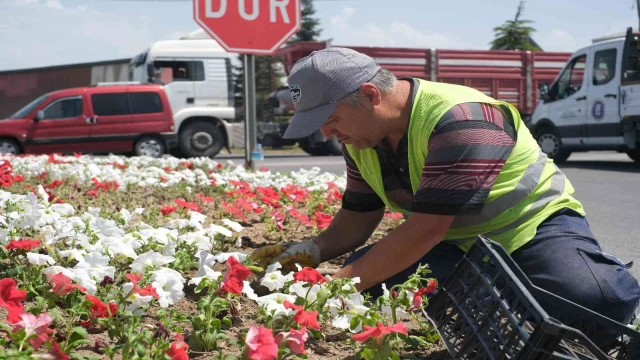 Kütahya’da refüjlere çiçek