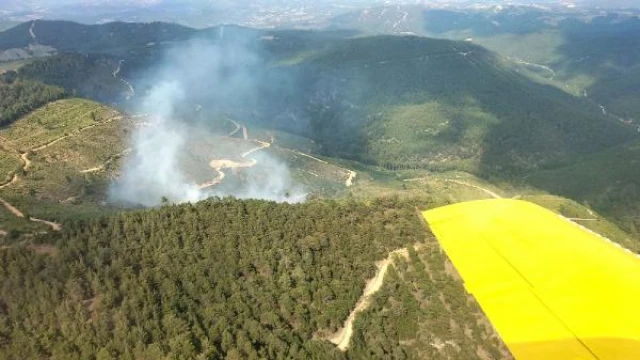 Manisa’da orman yangını (1)