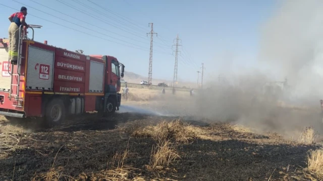 Mardin’de buğday ekili arazide yangın, 55 dönüm kül oldu