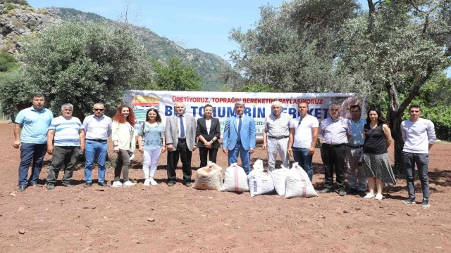 Marmaris’te yer fıstığında tohum takası gerçekleşti