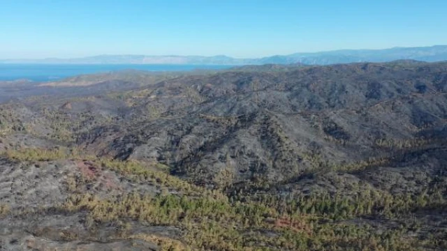 Marmaris’teki orman yangını, 5’inci gününde