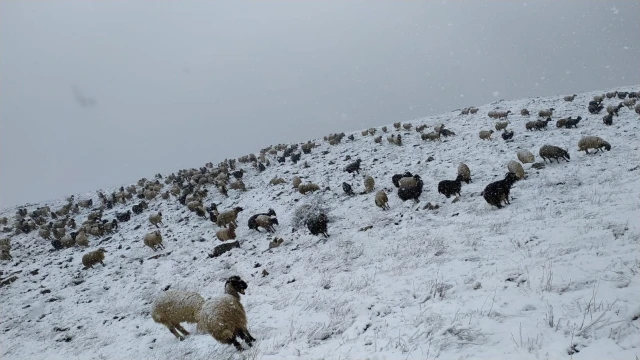 Mayıs ayında kar esareti