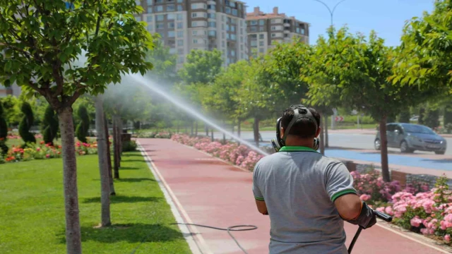 Meram’da ilaçlama çalışmaları hız kazandı