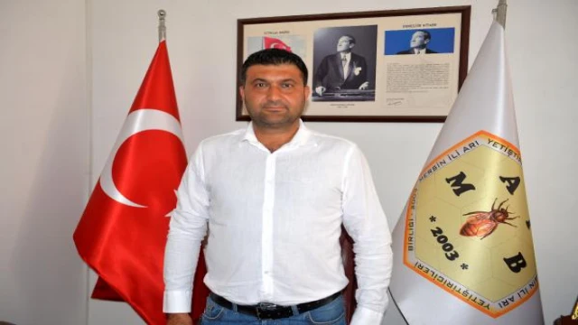 Mersin’de arı ölümleri; denizde sarı polen tabakası oluştu