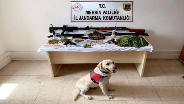 Mersin’de torbacı operasyonu: 6 gözaltı