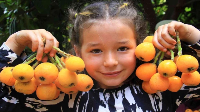 Mersin’in sarı altını yenidünya üreticisini fiyatıyla sevindirdi