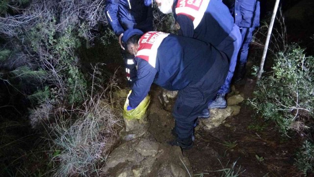 Mezarlık yakınındaki ormanlık alanda ağzı bağlanıp gömülmüş köpek cesedi bulundu