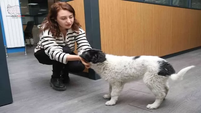 ’Moka’ Sanayi Odası’nın neşe kaynağı oldu