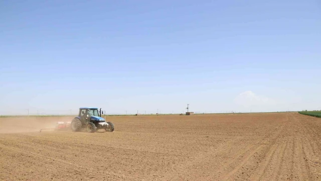 Niğde’de fasülye ve barbunya ekimi başladı