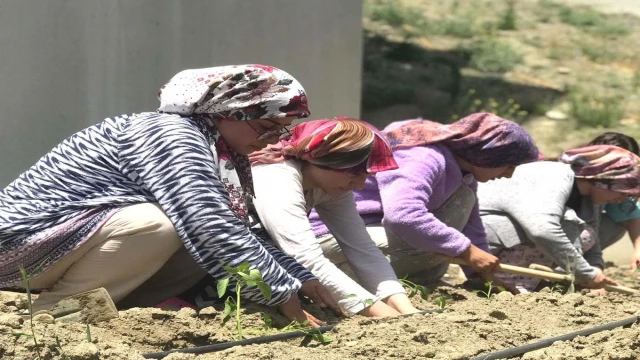 Öğrenciler yurt bahçesini hobi bahçesine çevirdiler