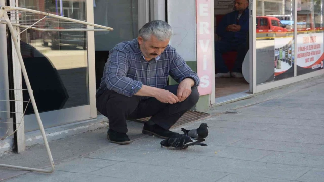 Ordu’da berberin güvercinlerle dostluğu