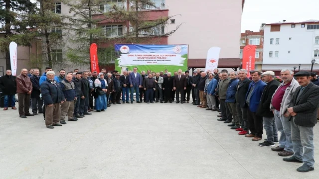 Ordu’da küçükbaş hayvan yetiştiriciliği gelişiyor