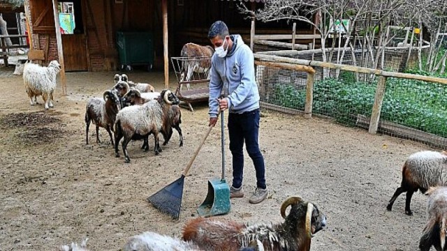 Organik atıklar bu tesiste gübreye dönüşüyor