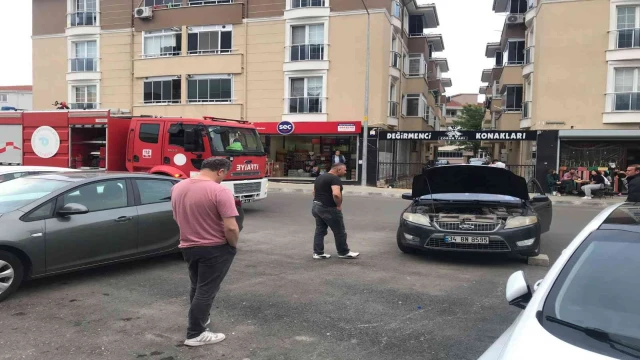 Otomobil motoruna giren yılan uzun uğraşlar sonucu çıkarıldı