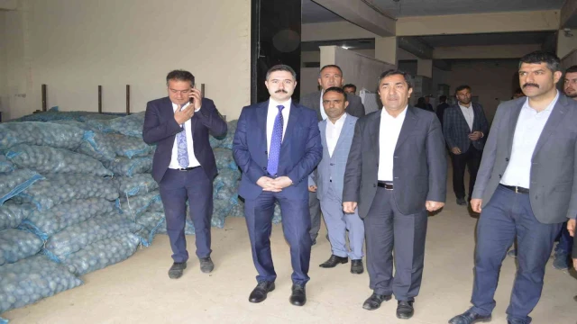 Pasinler’de 75 ton patates tohumu dağıtıldı