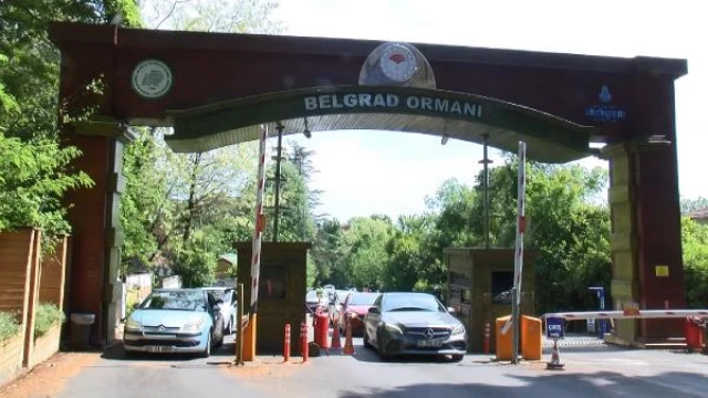 Piknikçiler Belgrad Ormanı girişinde kilometrelerce araç kuyruğu oluşturdu