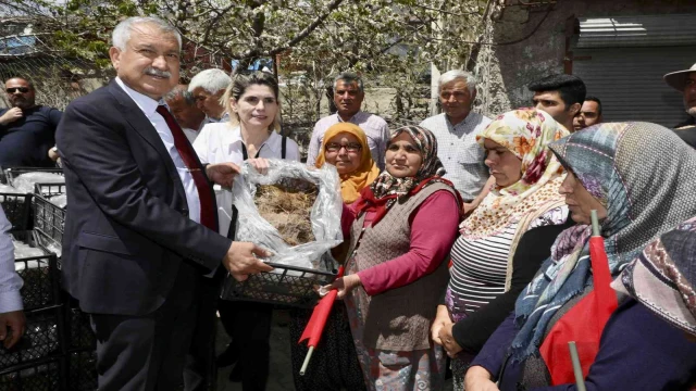 Pozantı’da 1 milyon 200 çilek fidesi dağıtıldı