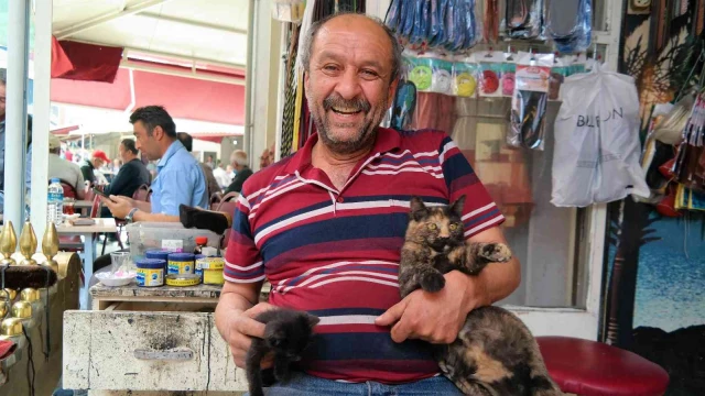 Sahipsiz kedilere boyacı Nevzat sahip çıktı