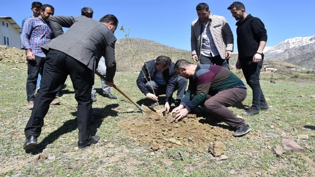 Sason’da ipek böcekçiliği geliştirme projesi dahilinde dut fidanı dikildi