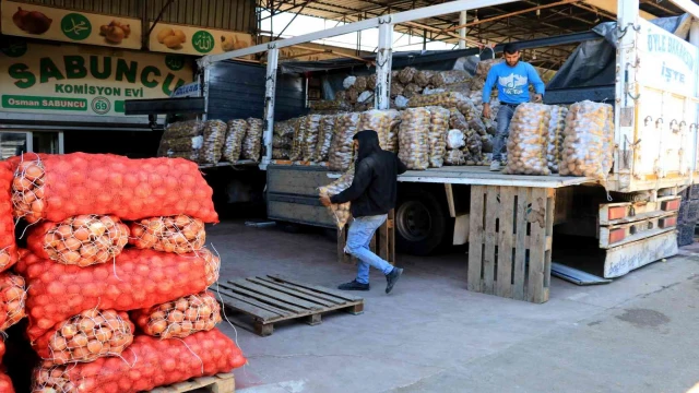 Sebze ve meyve fiyatları yarı yarıya düşecek