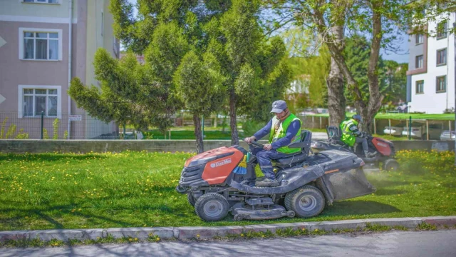 Şehir merkezi ve orta refüjlerdeki yeşil alanlarda çim biçme çalışmaları