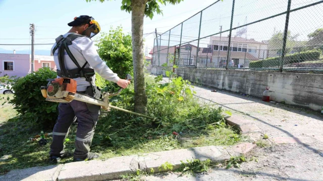 Serdivan yaza hazırlanıyor