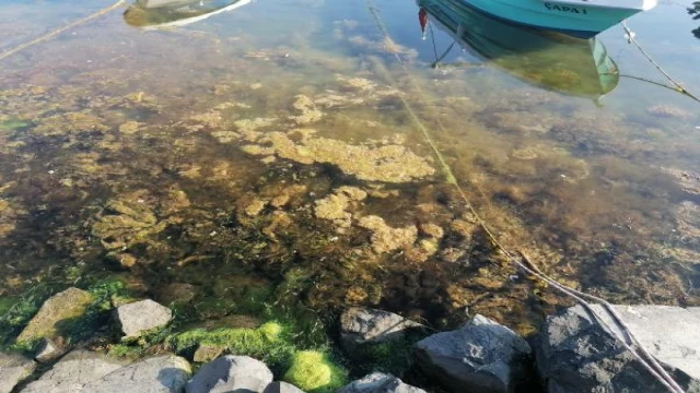 Silivri Sahili’nde deniz çöplüğe döndü