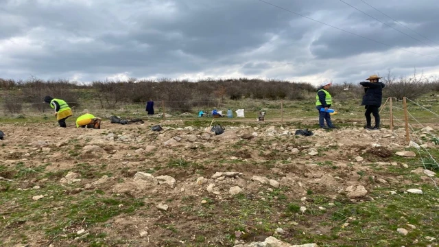 Sındırgı’da bal ormanı kuruluyor