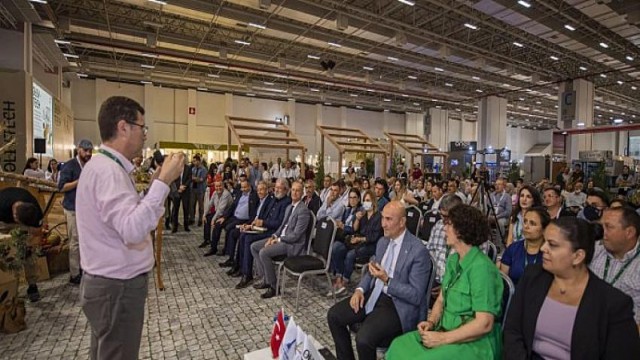 Soyer: ”Zeytin ağaçlarına sonuna kadar sahip çıkacağız”