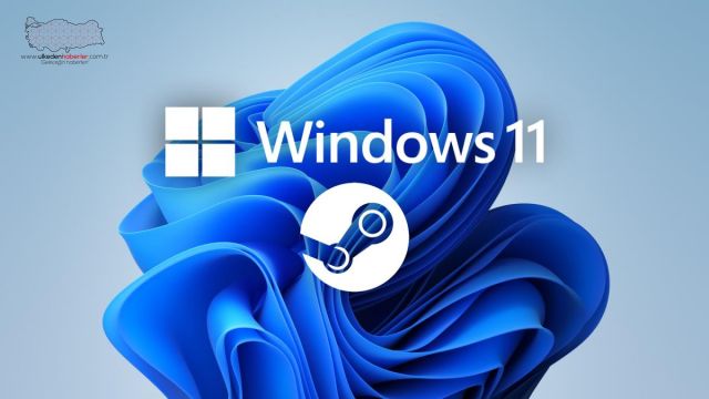 Steam donanım anketi sonuçlarına göre Windows 11'e göç oldukça yüksek